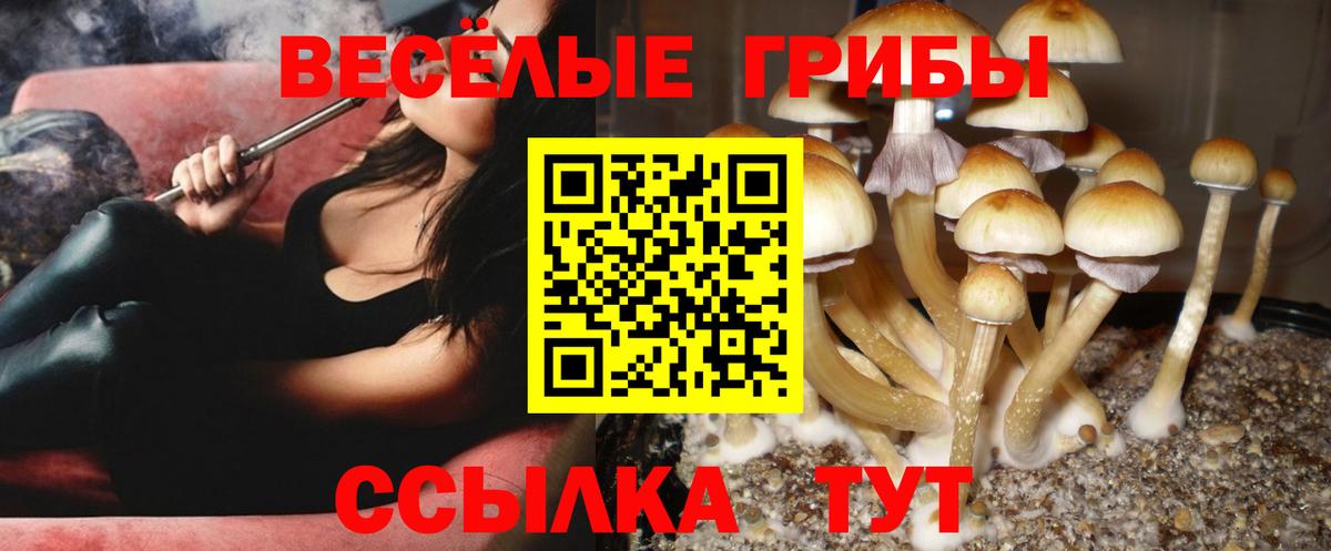 Миасс  Галлюциногенные грибы Psilocybine cubensis  Галлюциногенные грибы Magic Shrooms  Вход с VPN 