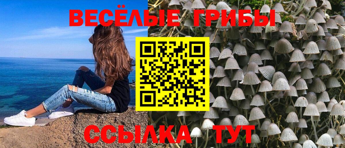 Псилоцибиновые грибы GOLDEN TEACHER Миасс