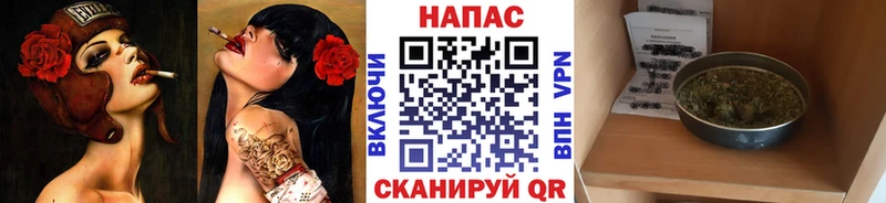 наркота  Миасс  блэк спрут ONION  Шишки марихуана сатива 